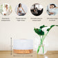 Happiness Pro - Light Wood - Aroma Diffuser