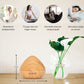 Zen Pro - Light Wood - Aroma Diffuser